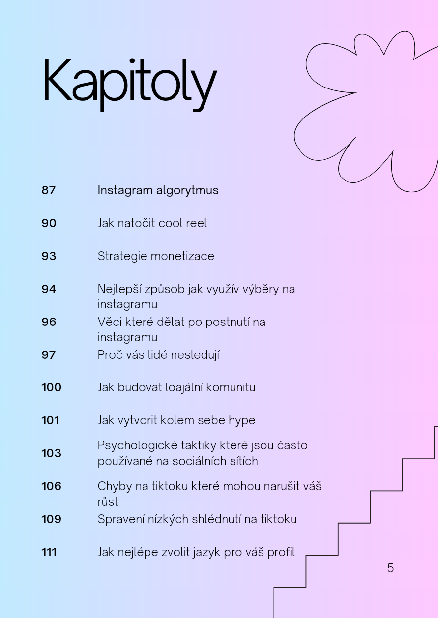 Strategie Úspěšného Růstu na Sociálních Sítích