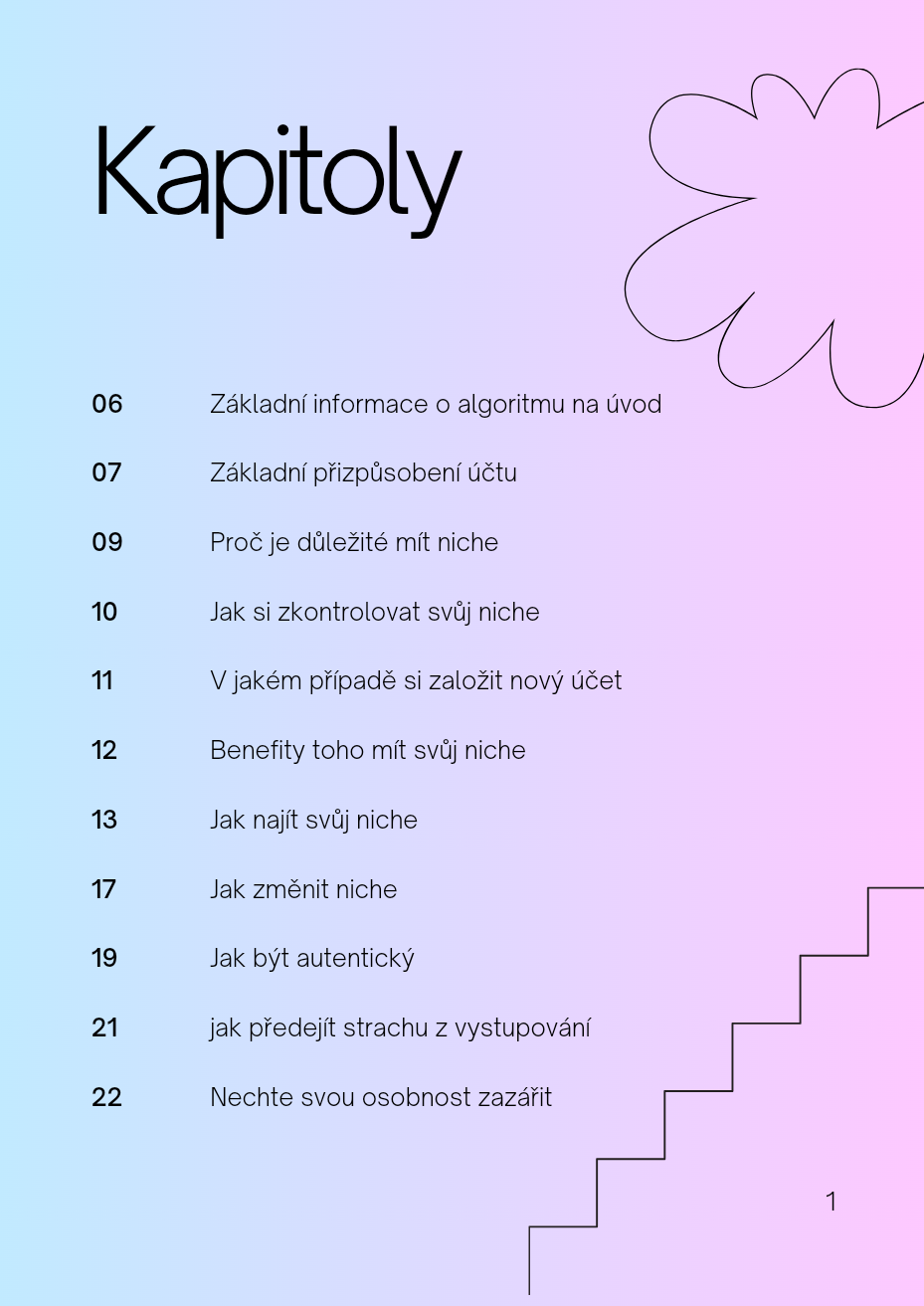 Strategie Úspěšného Růstu na Sociálních Sítích